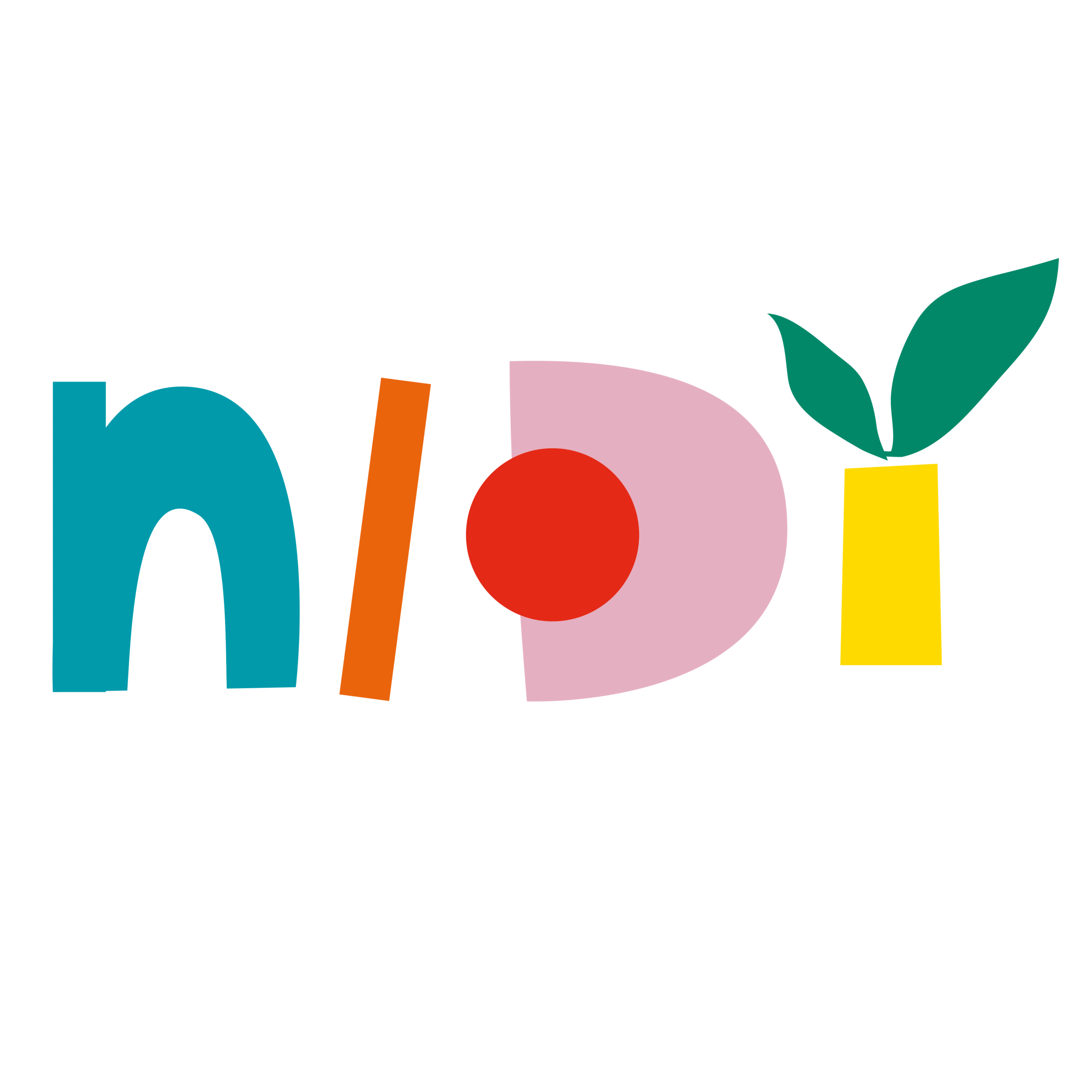 logo nidi